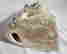 item-123378003=4