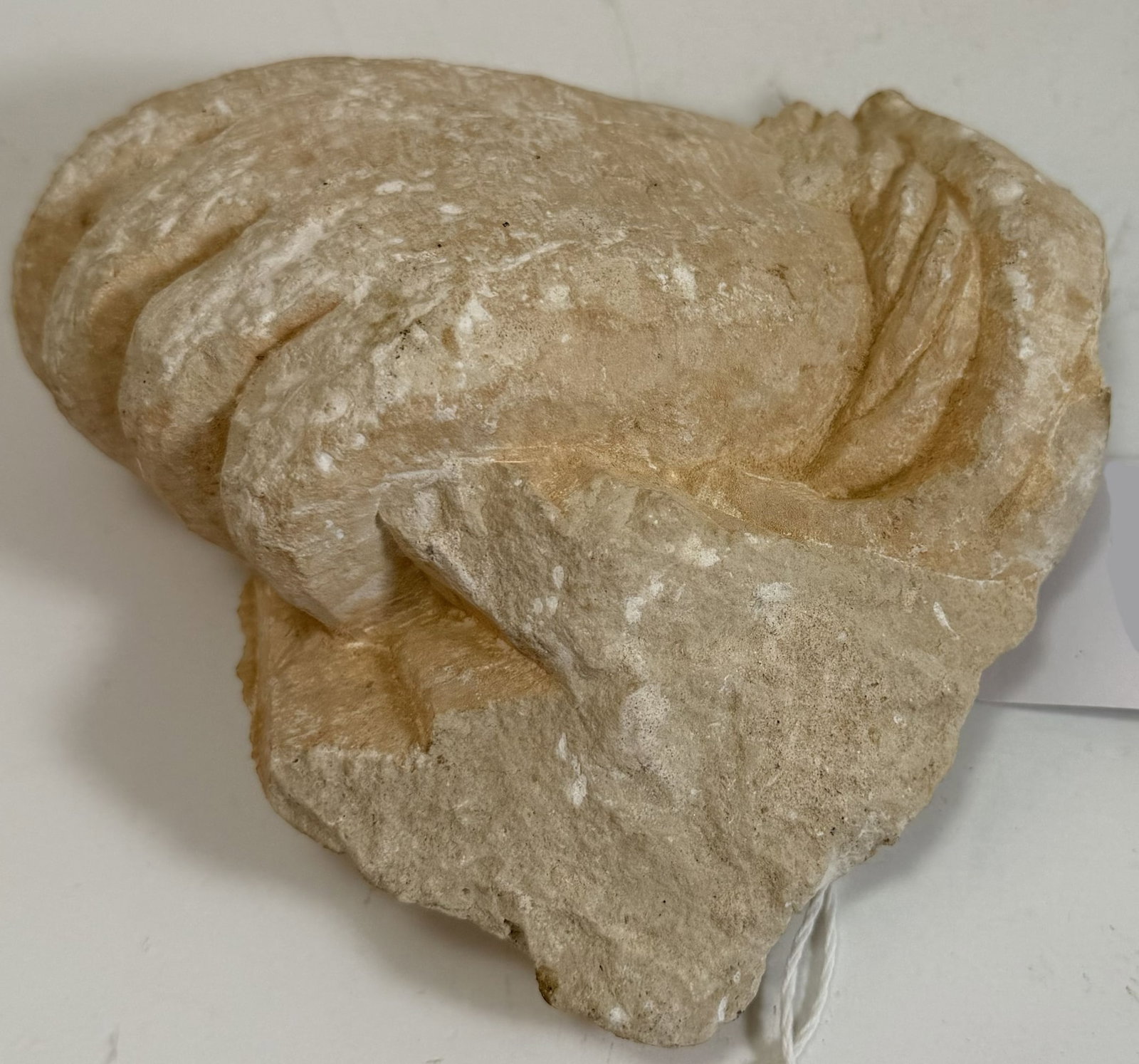 Byzantine Carved Stone Hand: The hand carved holding or grasping something. Width: 5 1/2, Height: 5 1/4 inches, Depth: 2 1/4 inches. Weight: 1 lb. 9 oz. This item is at our New York location.