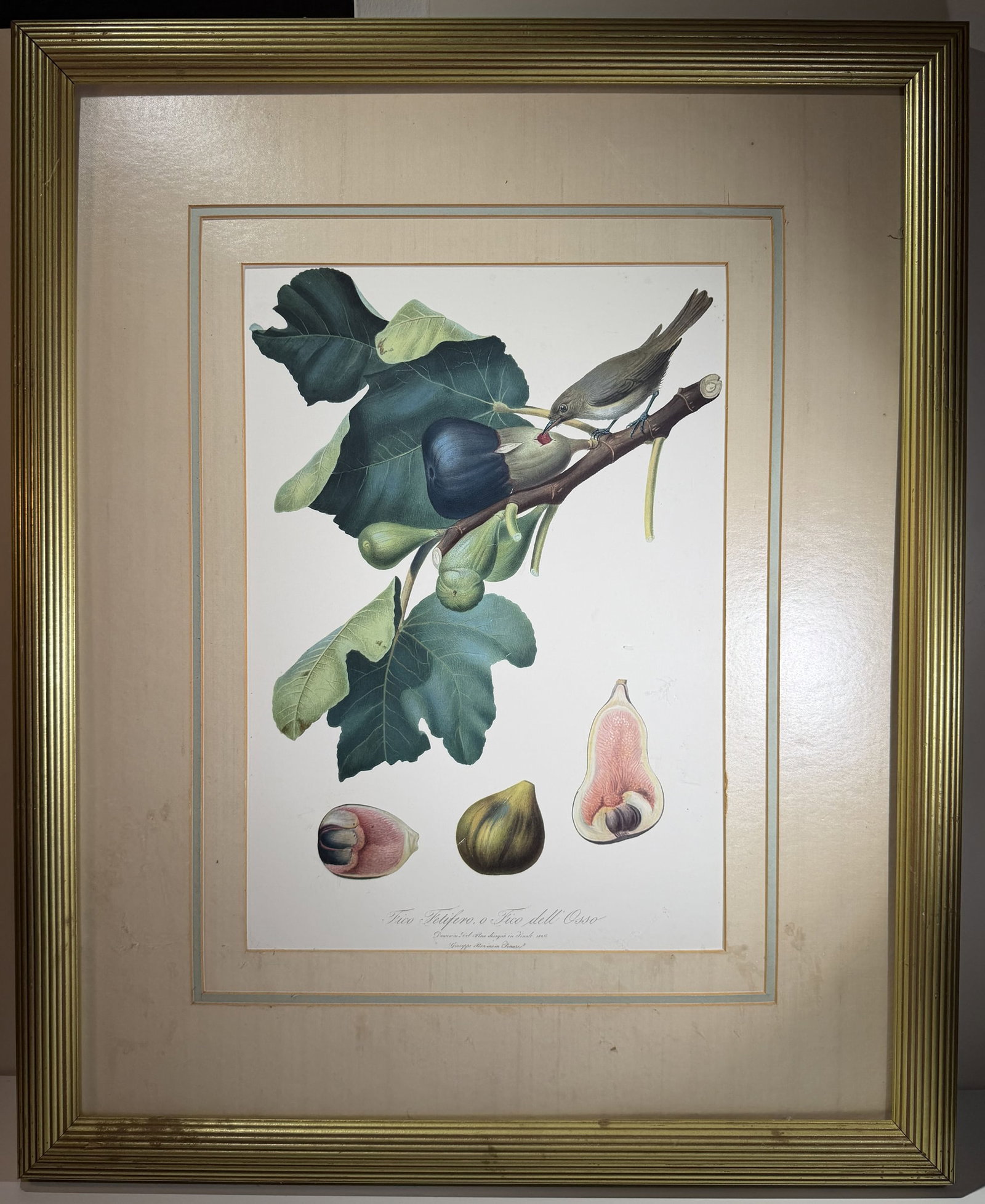 Pair of Framed Decorative Botanical Prints (1 of 6)