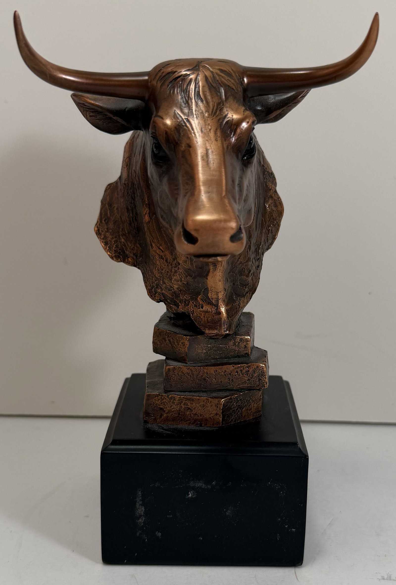 Bronze Bust of a Bull (1 of 5)