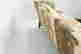 item-127314110=11
