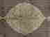item-129263648=4
