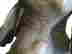 item-137057456=7