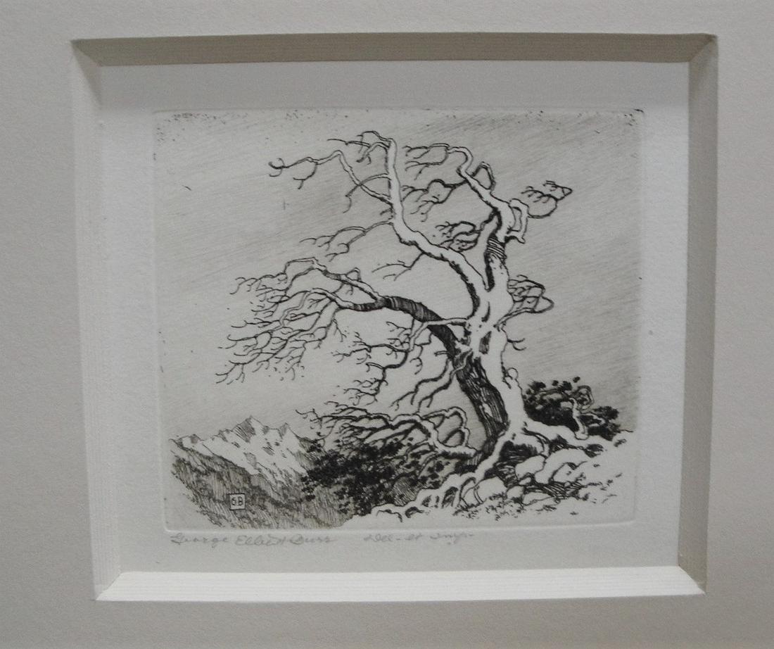 George Elbert Burr (CO, AZ, NM, CA, 1859 – 1939) (1 of 5)