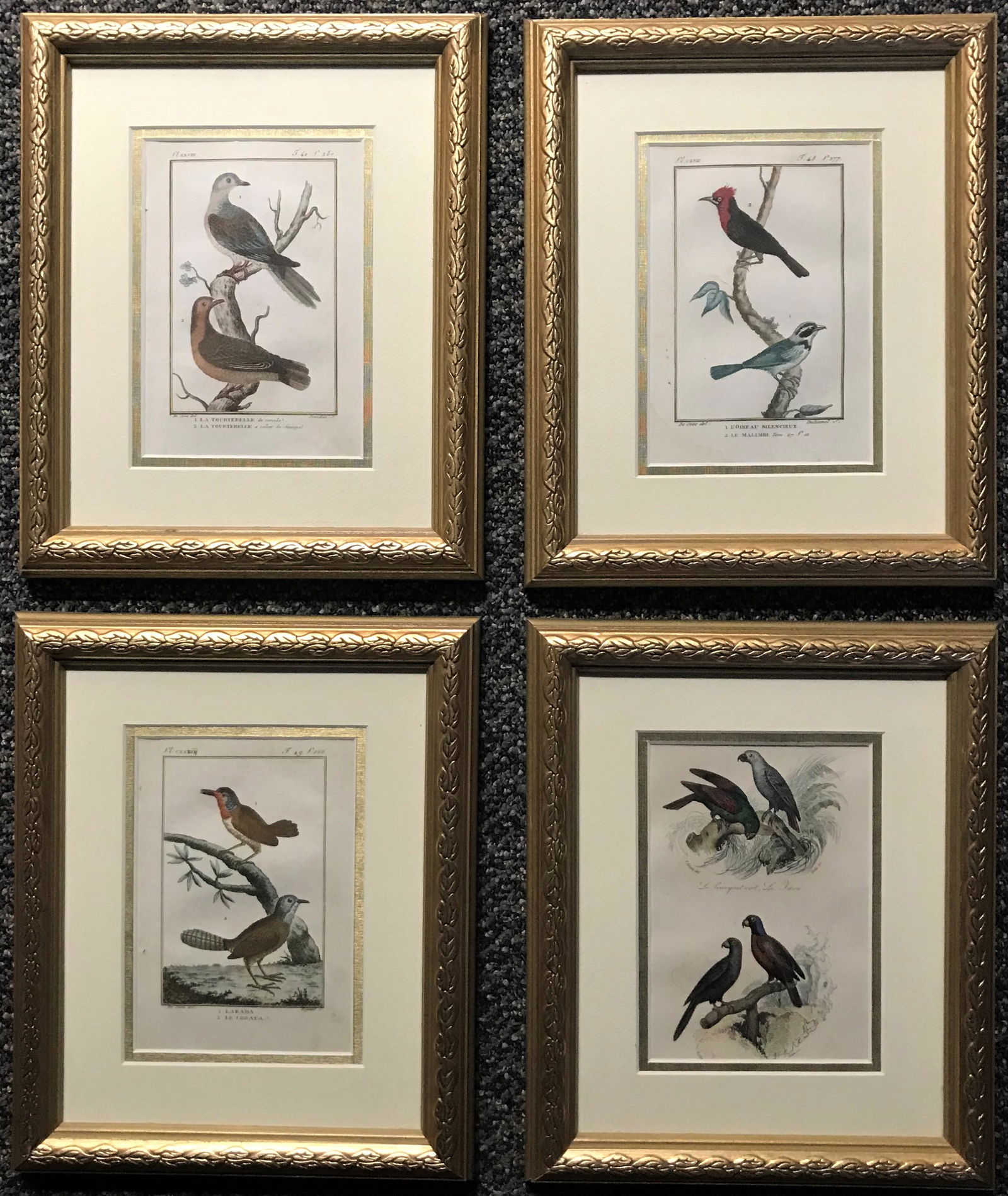 Four French Bird Etchings by Martinet. (1 of 10)
