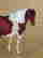 item-99379107=3