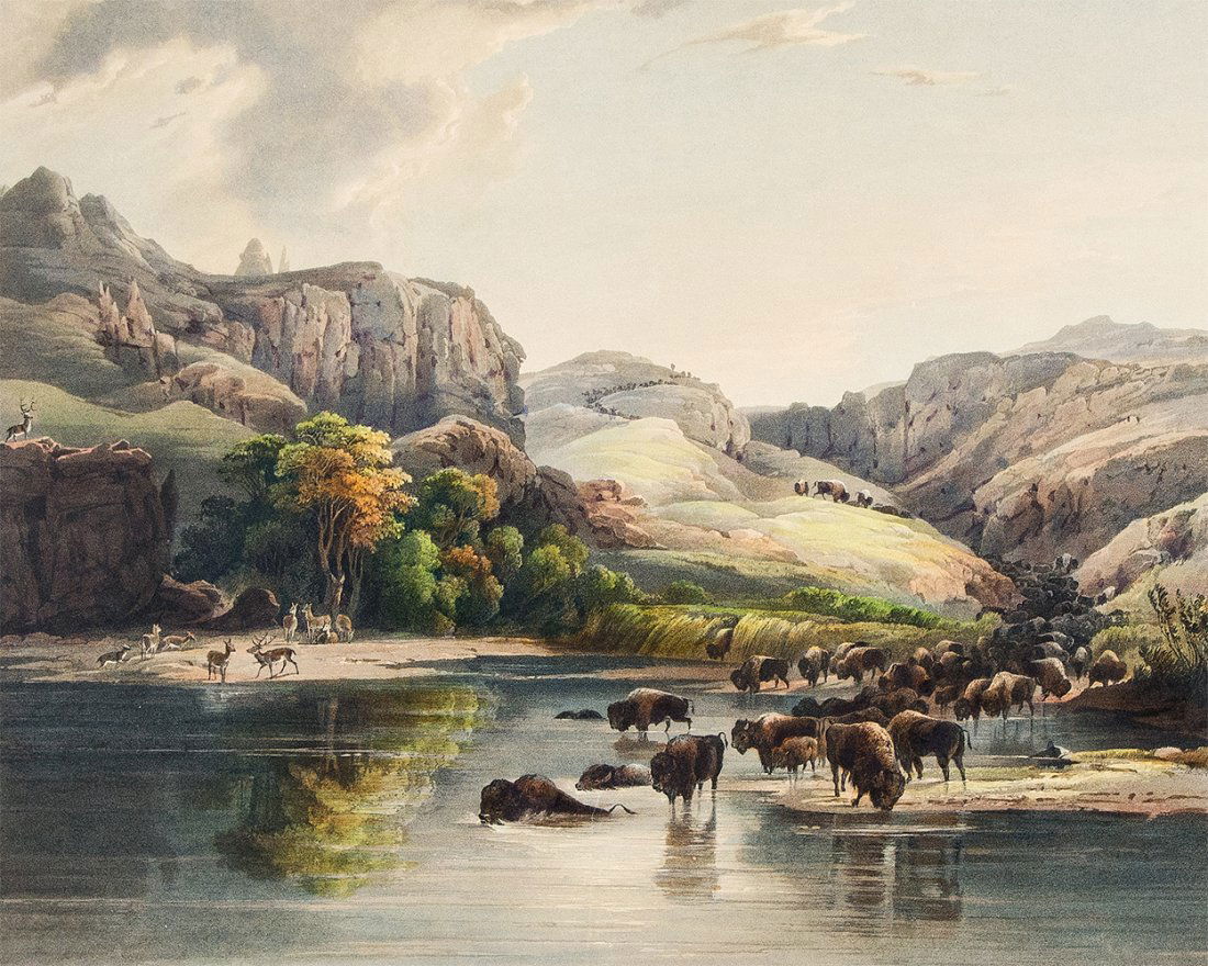 BODMER, KARL - Bison and Elk Herds Missouri 1842 (1 of 2)