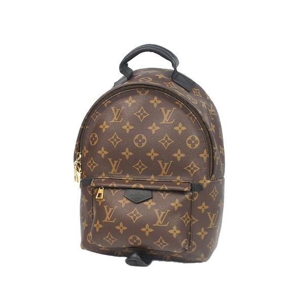Louis Vuitton Brown Monogram Palm Springs PM France (1 of 4)