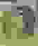 item-97537484=2