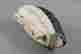 item-137138280=5