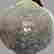 item-137138295=5
