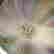 item-137138493=9