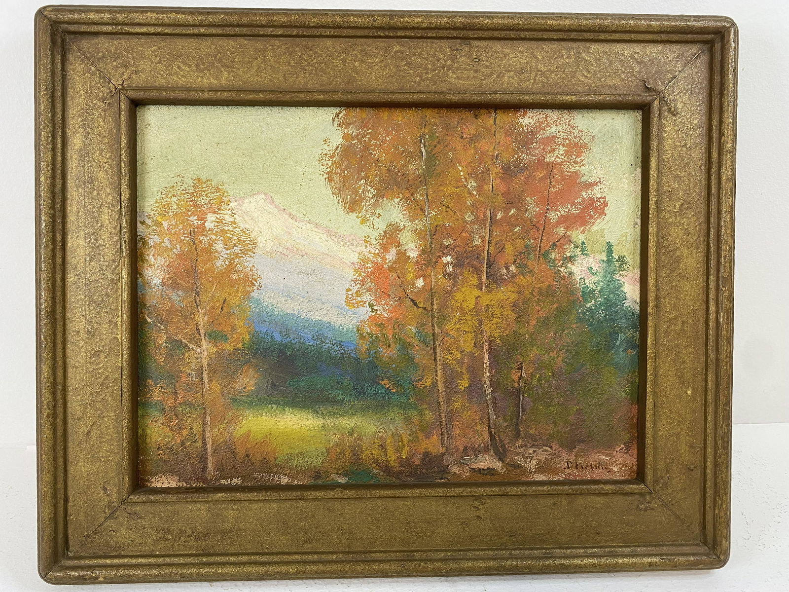 David Sterling Colorado Artist (1 of 3)