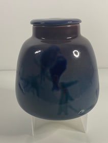 University of North Dakota school of Mines