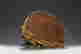 item-115501465=2