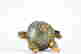 item-127984320=2