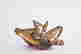 item-127984378=2