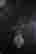item-127984416=12
