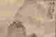 item-127984993=3