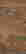 item-127986113=3