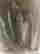 item-94605261=9