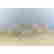 item-101982351=5