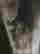 item-107057821=4