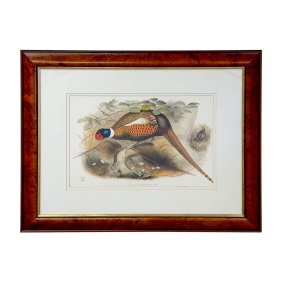 John Gould & Henry Constantine Richter Birds of England Pheasant Print