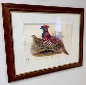 John Gould & Henry Constantine Richter Birds of Asia Temminck's Tragopan Print 1970's