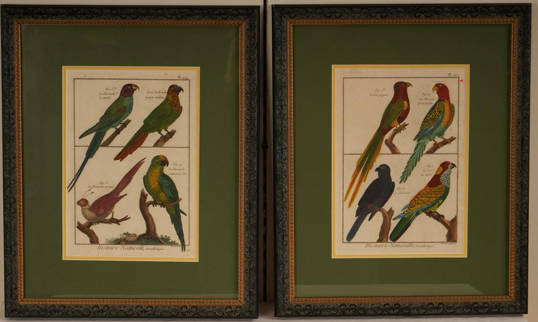 Pair Bernard Direxit "Histoire Naturelle": Orinithologie; plates 222 and 224; hand colored in custom frames