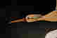 item-118644128=2
