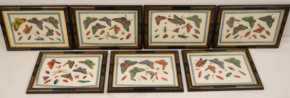 Group 7 French Lepidopterology Studies on Vellum (1 of 6)