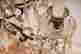 item-130778330=5