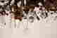 item-130778332=5