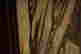 item-130778344=4