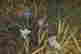 item-130778351=2