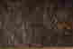 item-130778355=3