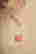 item-130778409=4