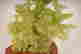 item-130778433=3
