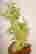 item-130778433=4
