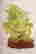 item-130778433=6