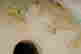 item-130778442=7