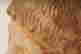 item-130778501=4