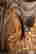 item-130778505=6