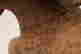 item-130778508=7