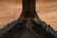 item-130778534=7