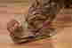 item-130778540=5