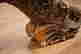 item-130778540=6
