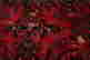 item-130778592=4