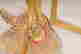 item-131939821=4